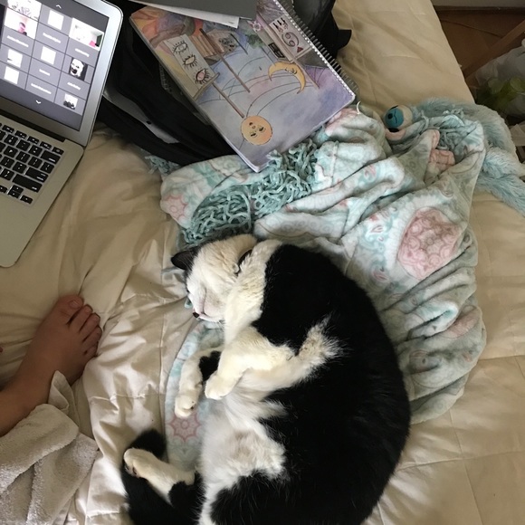 miaholybear